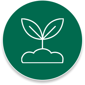 23500-Saplings